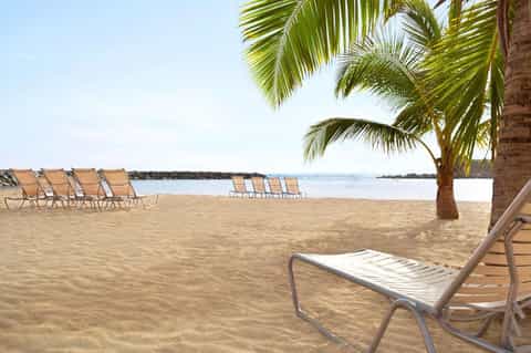 Beachside lounge area with empty chairs and palm trees overlooking calm water