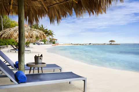 Tropical beach resort with thatched roof cabanas, lounge chairs, and turquoise ocean waters