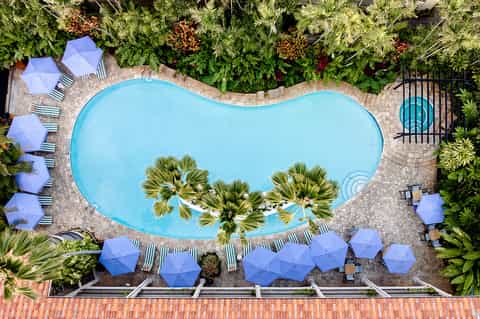 Aerial view of resort pool with blue umbrellas, lounge chairs, palm trees, and surrounding landscaping