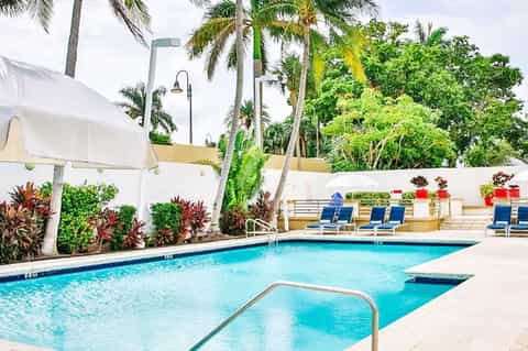 Resort pool area surrounded by white walls, palm trees, lounge chairs, and colorful tropical flowers