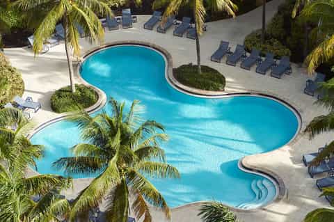 Curved resort swimming pool surrounded by lounge chairs and palm trees in bright sunlight