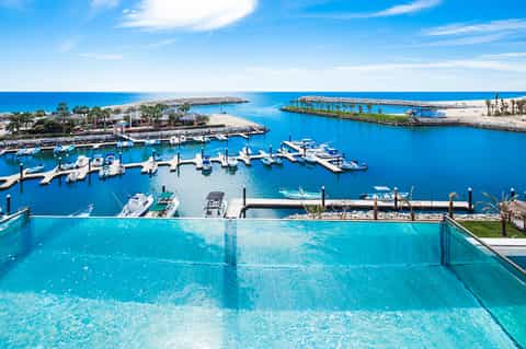Luxury infinity pool overlooking marina with boats and palm trees under blue sky