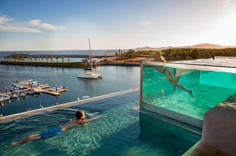 Guest swimming in infinity pool overlooking marina with sailboats and palm-lined harbor