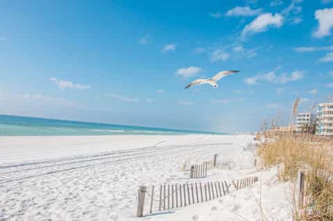 Pristine sandy beach with wooden dune fence, turquoise ocean, seagull flying, and beachfront buildings under clear blue sky