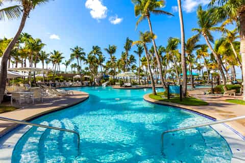 Tropical resort pool surrounded by palm trees with lounge chairs and sun umbrellas