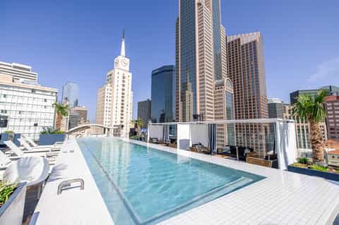 Rooftop infinity pool with city skyline views and palm trees in urban setting