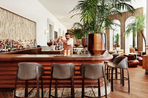 Upscale bar lounge with curved wood counter, bartender, palm plants, and warm lighting