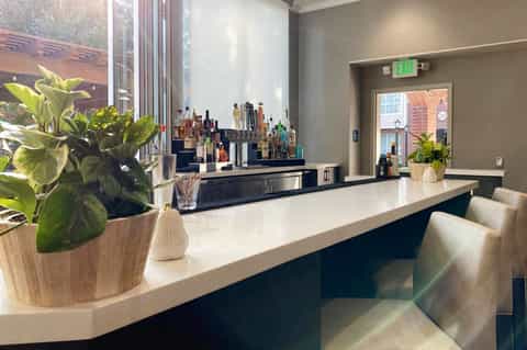 Modern hotel bar with white counter, potted plants, and extensive liquor selection behind glass