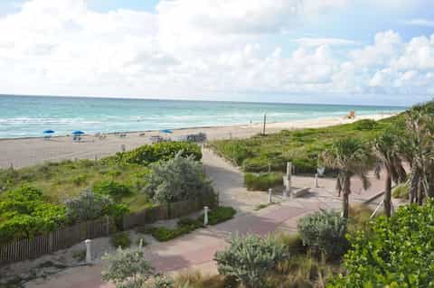Beachfront pathway with palm trees, beach access, and ocean view on a sunny day