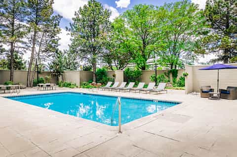 Resort swimming pool with bright blue water, lounge chairs, and mature trees against a beige privacy wall