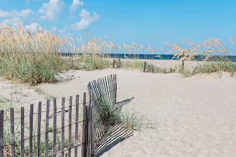 Sandy beach with coastal dune fencing and sea grass under blue sky
