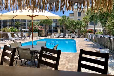 Outdoor resort pool with blue water, lounge chairs, palm trees, and tiki-style umbrellas under clear sky