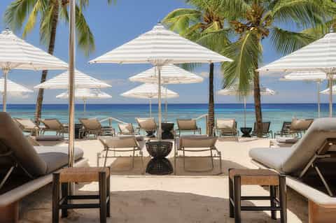 Beachfront lounge with white umbrellas, palm trees, and turquoise ocean view