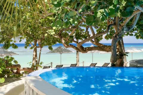 Beachfront pool surrounded by tropical trees with ocean and umbrellas in background