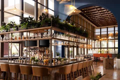 Contemporary hotel bar with plant-lined shelves, wooden ceiling, pendant lights, and ocean views