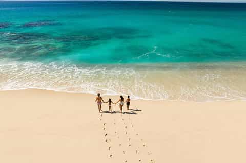 Family of four wading in crystal-clear turquoise ocean water on sandy beach