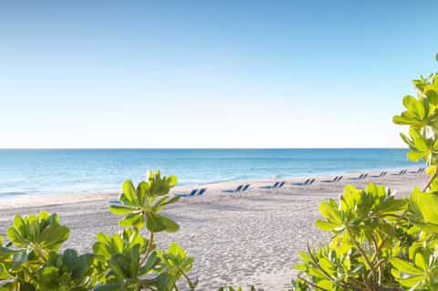 Sandy beach with lounge chairs and tropical vegetation under clear blue sky