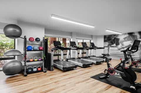 Modern fitness center with cardio equipment, exercise bikes, weight balls, and dumbbells on wooden flooring
