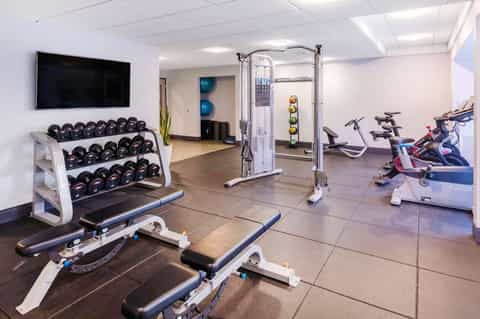 Fitness room with dumbbell rack, weight benches, cable machine, and stationary bikes