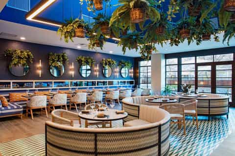 Modern restaurant interior with blue ceiling, hanging plants, round booths, and large windows