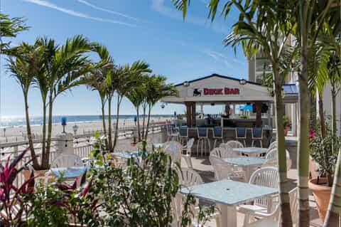 Beachfront deck bar with white furniture, palm trees, and ocean view under clear blue sky