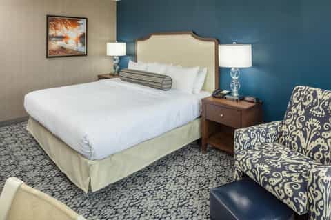 Hotel bedroom with cream upholstered headboard, teal accent wall, and modern furnishings