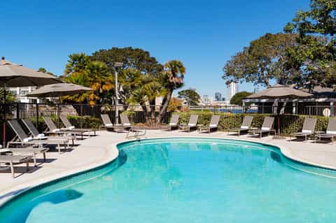 Resort pool with lounge chairs and umbrellas surrounded by palm trees and blue sky