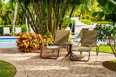 Tropical resort grounds with lounge chairs, flowering plants, palm trees, and pool in background