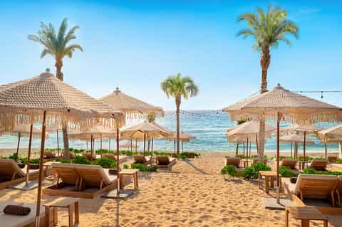 Beach club with thatched umbrellas, wooden loungers, palm trees, and clear turquoise ocean waters