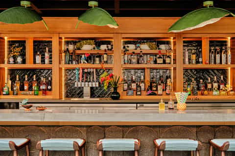 Modern bar with wooden shelving displaying spirits, green leaf-shaped lamps, and striped stools