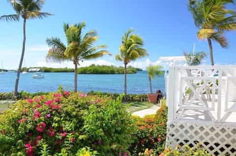 Waterfront resort garden with pink flowers, palm trees, white lattice fence, and boats on blue water