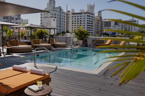 Rooftop pool with city skyline views, striped loungers, palm trees, and urban buildings backdrop