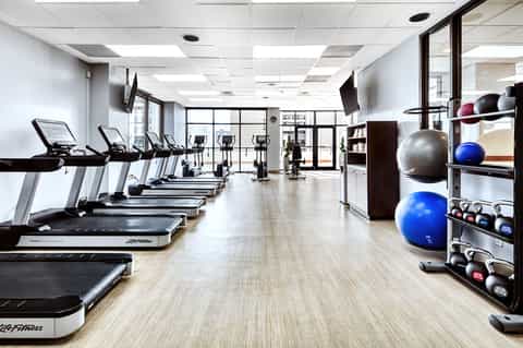 Bright fitness studio with rows of treadmills, exercise balls, dumbbells, and large windows with city views