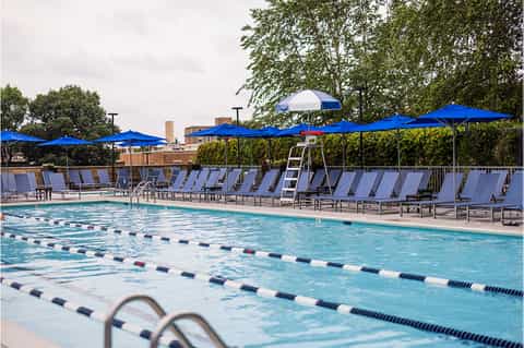 Lap pool with lane dividers, lounge chairs under blue umbrellas, and shaded seating area with trees.