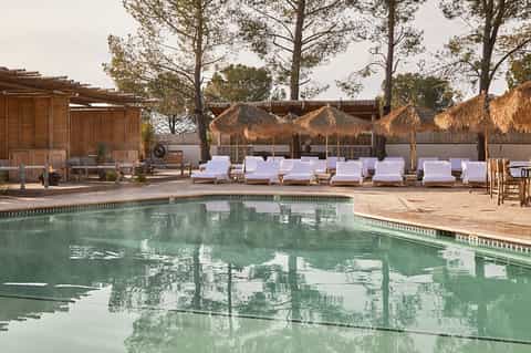 Serene outdoor pool area with white loungers, thatched umbrellas, and tall pine trees