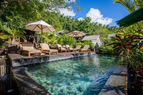 Tropical resort pool surrounded by palm trees, lounge chairs with umbrellas, and lush green vegetation