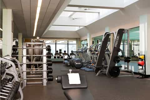 Modern gym with free weights, cardio machines, and large windows with city views