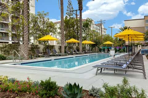 Resort pool area with blue water, palm trees, yellow umbrellas, lounge chairs, and landscaped gardens under clear sky.
