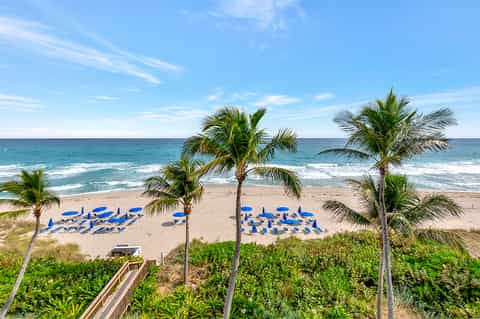 Beach with blue umbrellas and palm trees, ocean with waves, viewed from elevated tropical resort property