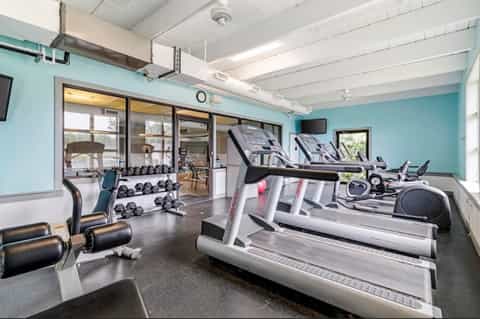 Modern gym with treadmills, exercise bikes, dumbbells, and turquoise accent walls
