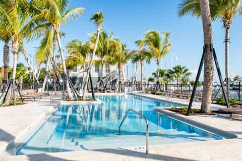 Resort pool surrounded by palm trees with marina and sailboats visible in the background