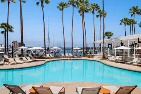 Resort pool with palm trees, white lounge chairs, and marina boats visible in background