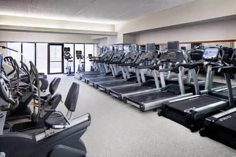 Modern fitness center with rows of treadmills, exercise bikes, and cardio equipment