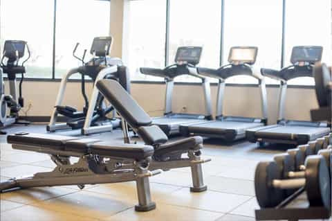 Modern fitness center with cardio machines, treadmills, weights, and large windows