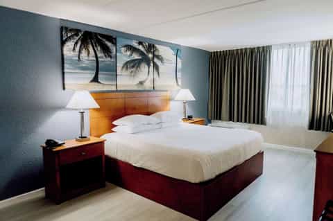 Hotel bedroom with orange headboard, white bedding, palm tree artwork, and teal accent wall