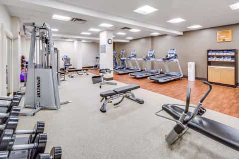 Gym interior with treadmills, exercise bikes, dumbbells, and cable machines on wood-look flooring