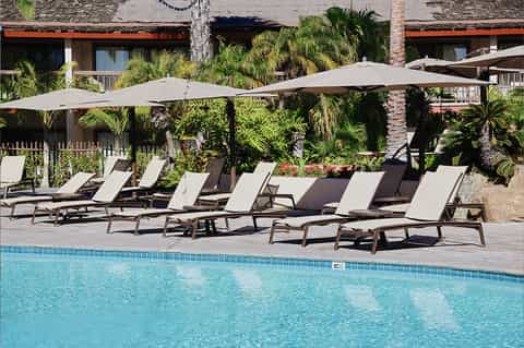 Resort pool deck with lounge chairs, umbrellas, palm trees, and ocean-view bungalows