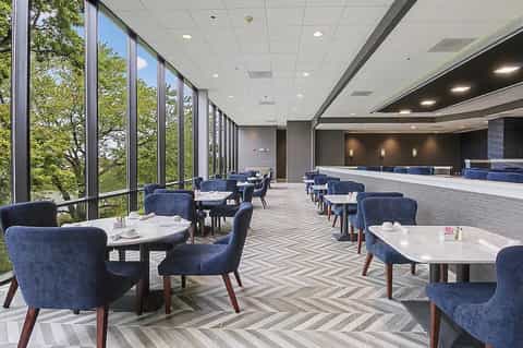 Modern hotel lounge with floor-to-ceiling windows, blue upholstered chairs, round tables, and forest views