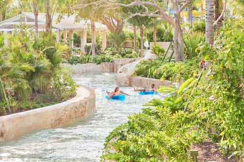 Lazy river with tropical landscaping, palm trees, and guests floating on blue tubes