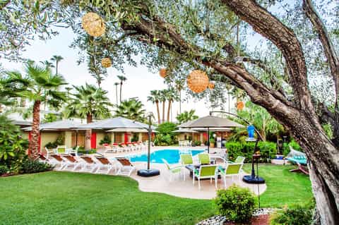 Tropical resort pool area with palm trees, lounge chairs, umbrellas, and manicured green lawn